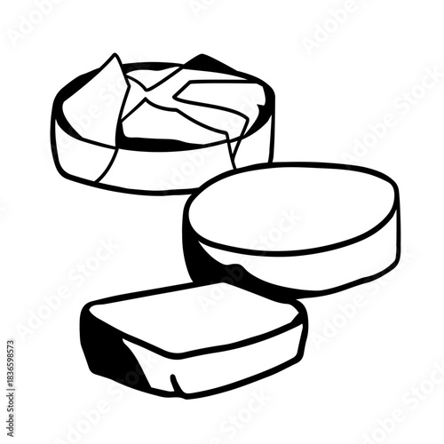 various round soft cheese on white background hand-drawn vector illustration