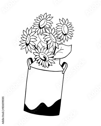 Sunflowers in milk jug on white background, hand drawn vector illustration