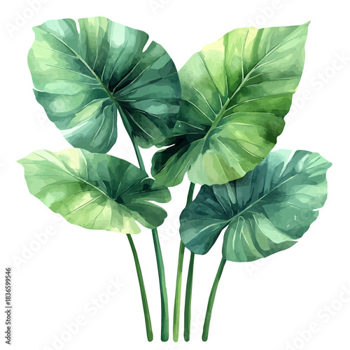 Alocasia Branch, watercolor painting capturing graceful lines and soft blended shades, isolated on a white background.