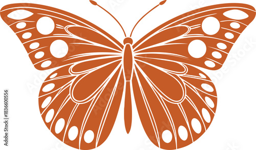 Colorful butterfly vector illustration isolated on a white background