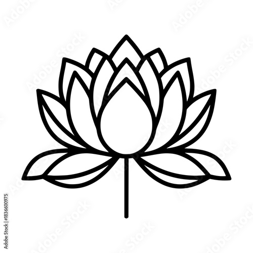 Lotus flower illustration with intricate petal design  