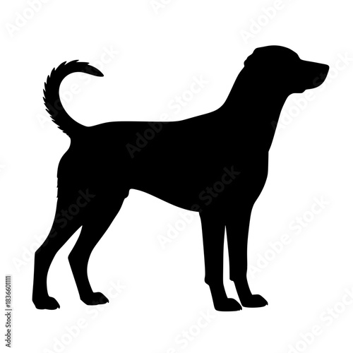 Silhouette of a standing dog with raised tail and alert posture  