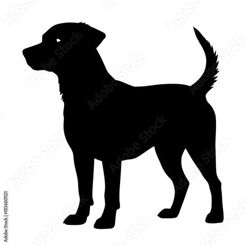 Silhouette of a standing dog in profile view  