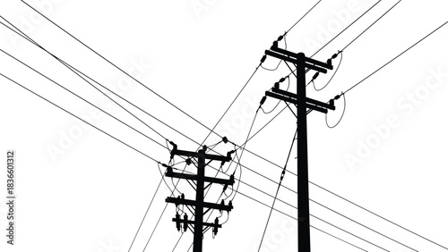 Stylized Black and White Silhouette Vector Illustration of Power Lines and Utility Poles Overlapping Against a Clear Sky, Urban Grid Infrastructure with Wires and Insulators Graphic Artwork