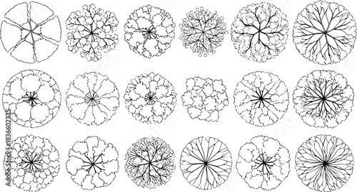 Tree top view outline collection, diverse foliage patterns, ideal for architectural plans, landscape designs, urban planning botanical illustrations, and garden