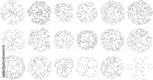 Tree top view outline collection, diverse foliage patterns, ideal for architectural plans, landscape designs, urban planning botanical illustrations, and garden