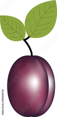 Vector illustration of a ripe purple plum with two green leaves. Fresh fruit icon, realistic gradient style, isolated on transparent background