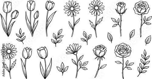 Hand Drawn Floral Line Art Collection Vector Sketch