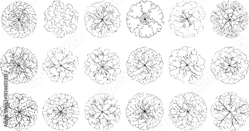 Tree top view outline collection, diverse foliage patterns, ideal for architectural plans, landscape designs, urban planning botanical illustrations, and garden