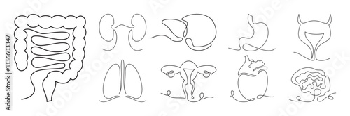 Simple one-line or single-line illustrations of various human body parts. Continuous line icon set