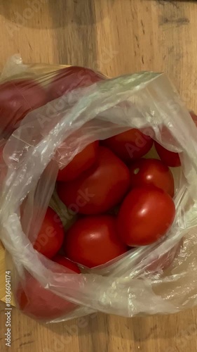 Close up of fingers selecting ripe tomatoes for storage