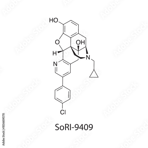 14-Methoxymetopon Molecular Structure Vector