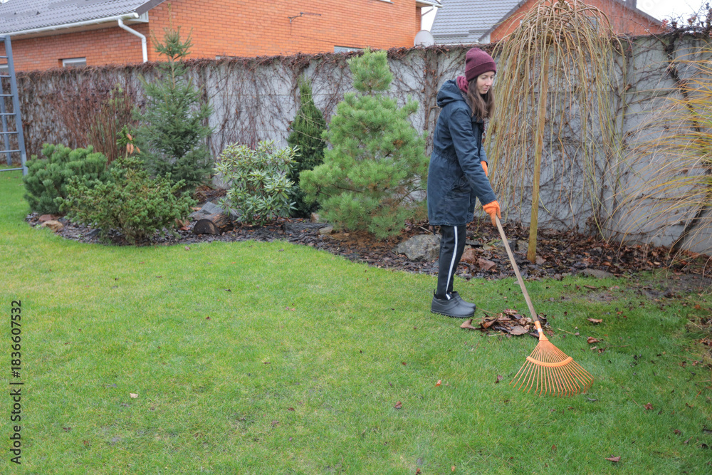 Obraz premium Young woman raking leaves in winter attire on grass lawn by brick house and fence