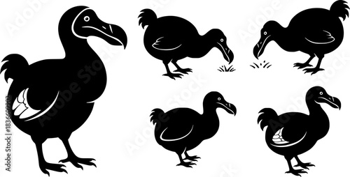 Dodo silhouettes, Dodo bird silhouette, Dodo bird, Dodo, Dodo bird vector illustration