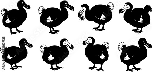 Dodo silhouettes, Dodo bird silhouette, Dodo bird, Dodo, Dodo bird vector illustration