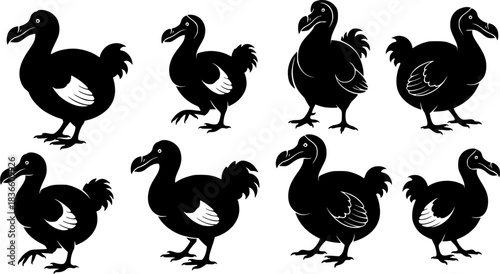 Dodo silhouettes, Dodo bird silhouette, Dodo bird, Dodo, Dodo bird vector illustration