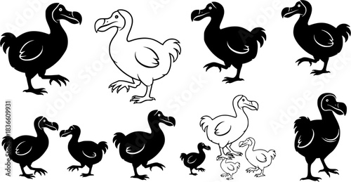 Dodo silhouettes, Dodo bird silhouette, Dodo bird, Dodo, Dodo bird vector illustration