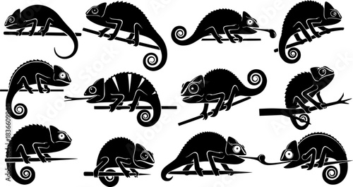 Chameleon silhouettes, Chameleon vector illustration, Chameleon, Chameleon animal icon, Chameleon silhouette