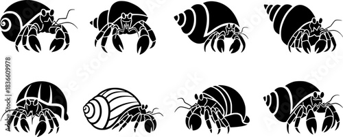 Hermit crab silhouettes, Hermit crab, Hermit silhouette, Crab, Hermit crab vector illustration