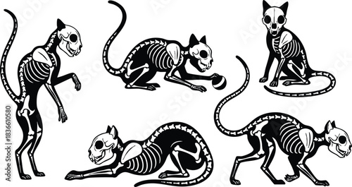 Tattoo flash line art five black and white cat skeletons in varied poses including sitting crouching stretching arched back looking forward for spooky apparel stickers design