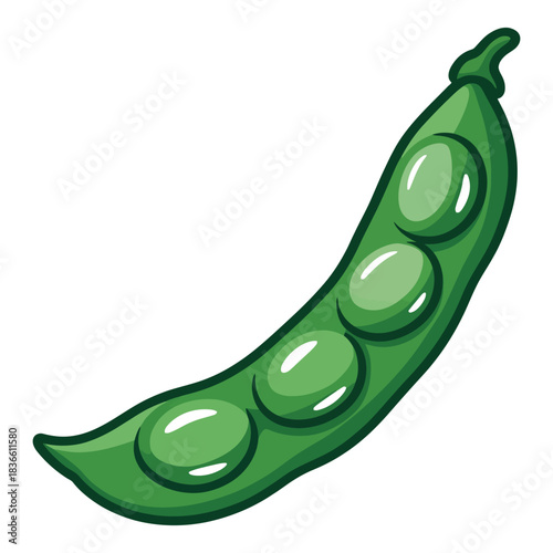 Fresh green pea pod with four plump peas inside