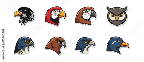 Birds of prey collection diverse illustrations of eagle hawk and owl heads