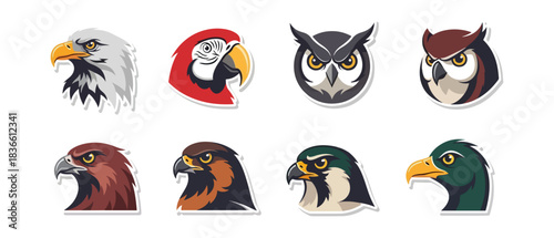 Birds of prey collection diverse illustrations of eagles owls and falcons