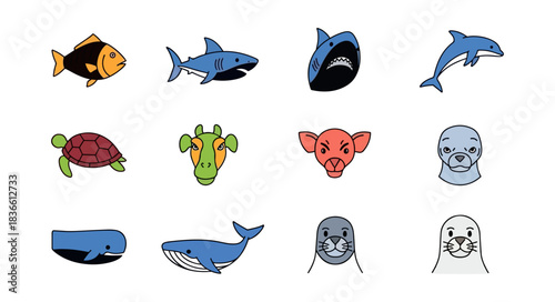 Marine animals set illustrations of sharks dolphins whales and seals