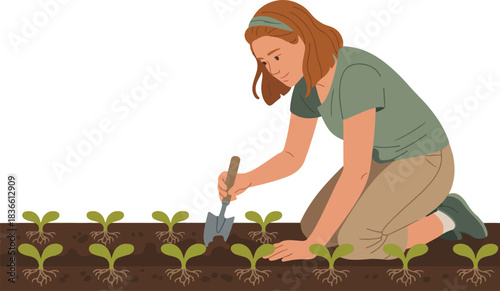 Woman gardening in garden wearing green shirt and khaki pants for planting seedlings in soil outdoor spring vector illustration