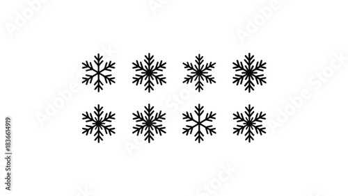 Collection of eight detailed black snowflake illustrations with intricate crystalline patterns on a clean white background representing winter