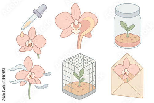 Series of images of flowers and plants, including a flower in a vase