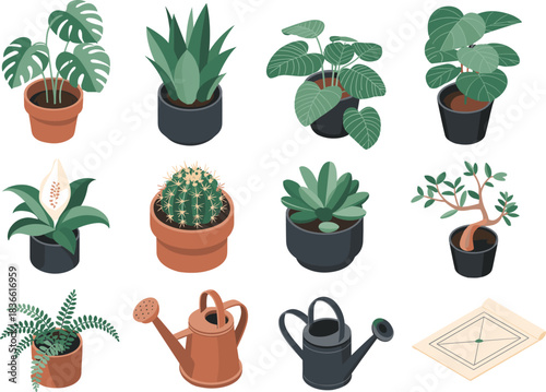 Isometric illustration set of potted houseplants, succulents, cactus, bonsai, foliage plants with watering cans and gardening tools, indoor plant collection