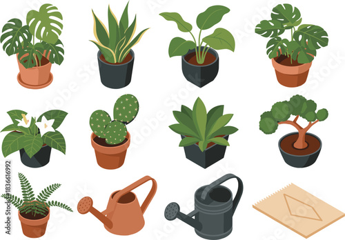 Isometric illustration set of potted houseplants, succulents, cactus, bonsai, foliage plants with watering cans and gardening tools, indoor plant collection