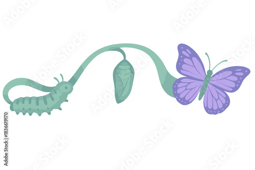 Caterpillar is crawling on a leaf and a butterfly is flying above it