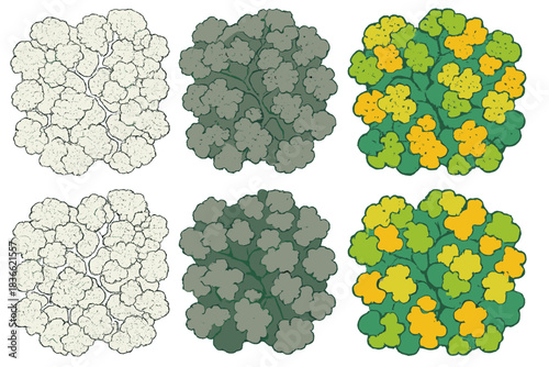 Vivid Lichen Cartography. Abstract aerial view of lichen growth network forming living cartography, merging biological and