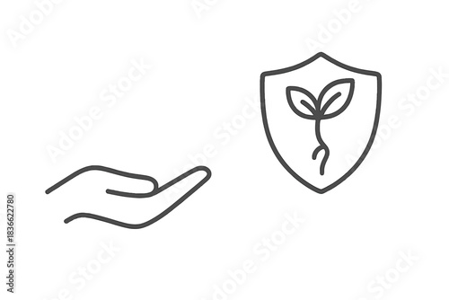 Palmplate Line Art. Line style vector icons of palmplate radicle: smooth hand figure, palm slope, plate-like shield, neat shield