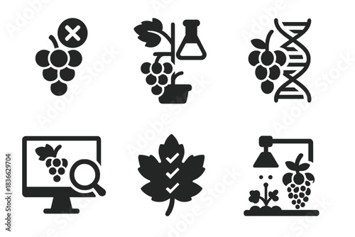 Genetic Grape Innovations. Solid style icons of experimental grape manipulation: hybrid grape icon, lab-grown vine, DNA-edited