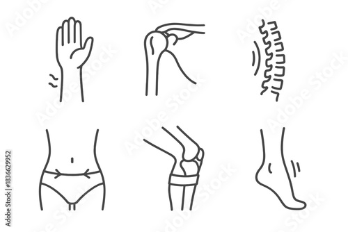 Aerial Silk Anatomy Icons. Line style icons of aerial silk anatomy support: wrist pressure symbol, shoulder joint sketch, spine