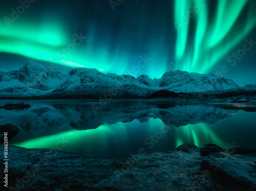 Aurora borealis over the snowy mountains, frozen sea, reflection in water at winter night. Lofoten, Norway. Northern lights and snowy rocks. Landscape with polar lights, starry sky and fjord. Scenery