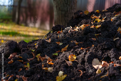 Wallpaper Mural Pile of dark fertile soil with fallen autumn leaves in sunlight Torontodigital.ca