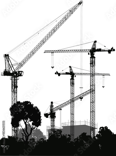 four balck cranes on building plant on white