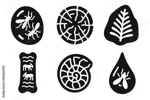 Fossilized Information Icons. Solid style icons of fossilized information carriers: amber with insects, petrified wood patterns,