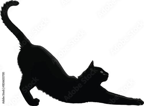 Silhouette of a black cat stretching its body with tail raised high