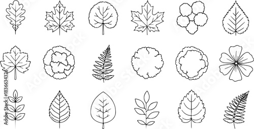 Leaf outline, tree top, and foliage icon set ideal for botanical design, landscaping plans, or nature illustration. hand drawn leaf shapes, top view shrubs, and floral vector graphics