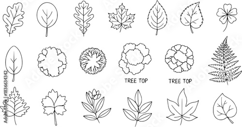 Leaf outline, tree top, and foliage icon set ideal for botanical design, landscaping plans, or nature illustration. hand drawn leaf shapes, top view shrubs, and floral vector graphics