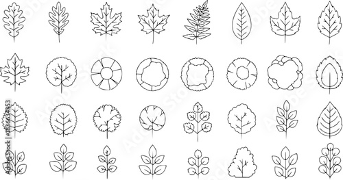 Leaf outline, tree top, and foliage icon set ideal for botanical design, landscaping plans, or nature illustration. hand drawn leaf shapes, top view shrubs, and floral vector graphics