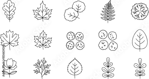 Leaf outline, tree top, and foliage icon set ideal for botanical design, landscaping plans, or nature illustration. hand drawn leaf shapes, top view shrubs, and floral vector graphics