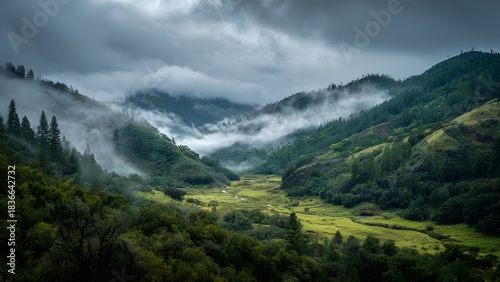 A beautiful, sprawling scene of green mountains and dark valleys, where the mist hangs low, making everything look hazy and quiet under a pale sky