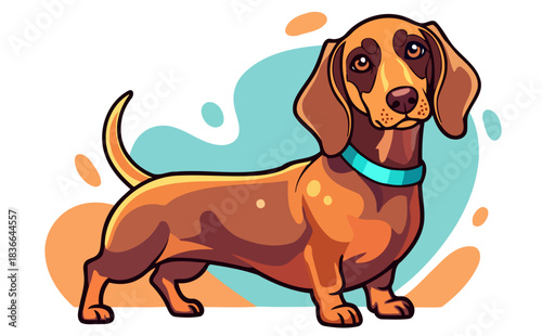 colorfull teckel dog vector