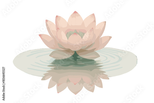 Lotus Reflection Symphony. a lotus flower resting on rippling water with a reflection forming a perfect circle, pale rose and jade